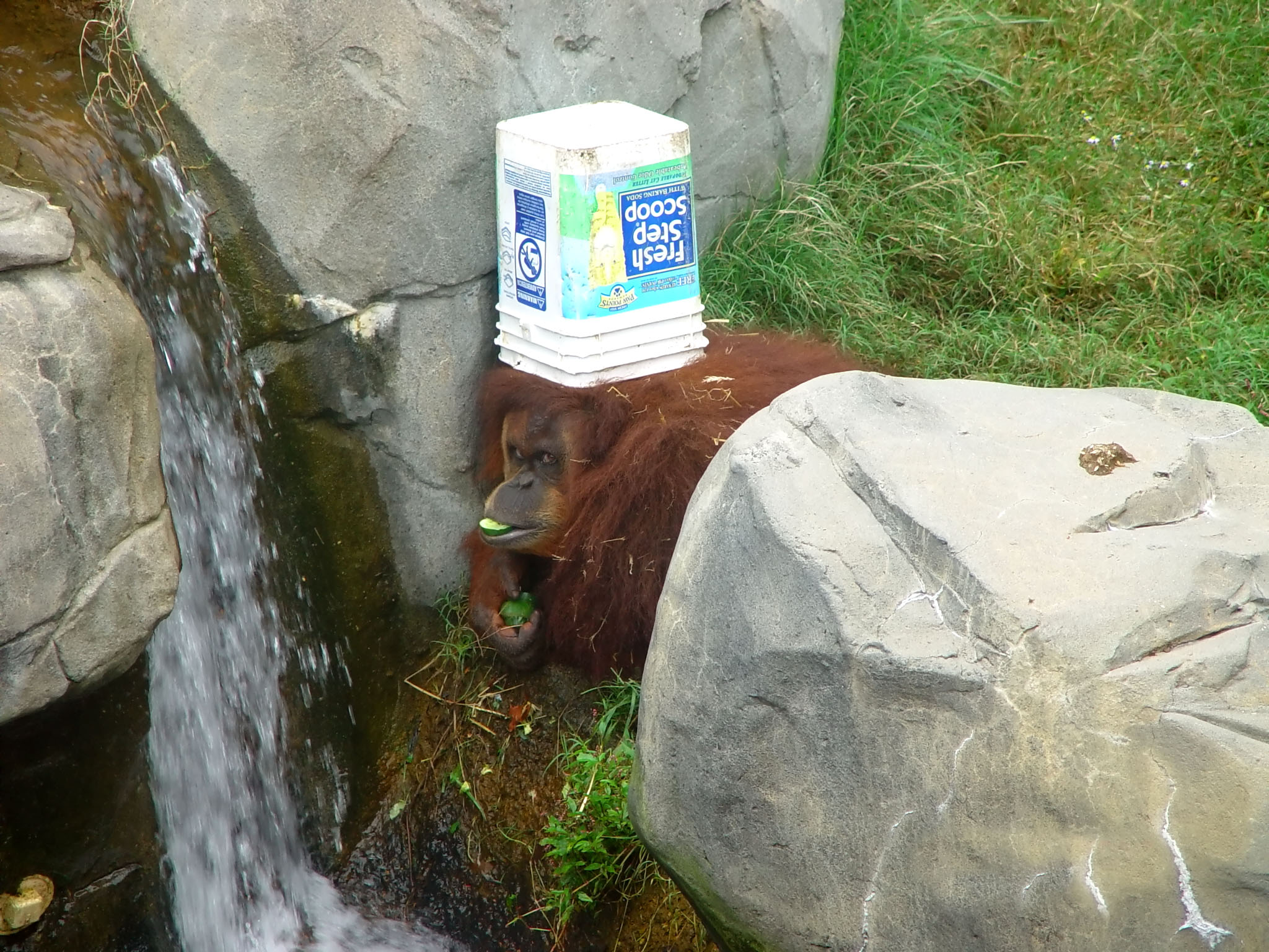 Fotografía por scagle para DesignCrowd (Community Contests) | Diseño #9120009