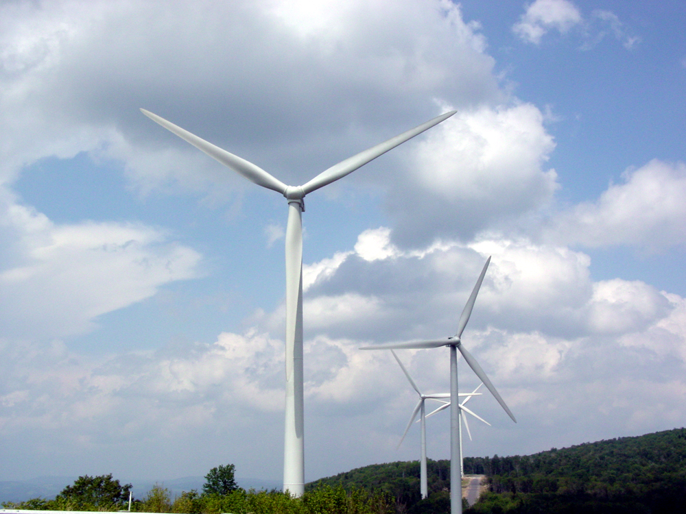 Photography by Angeldog1 for DesignCrowd (Community Contests) | Design #9120049