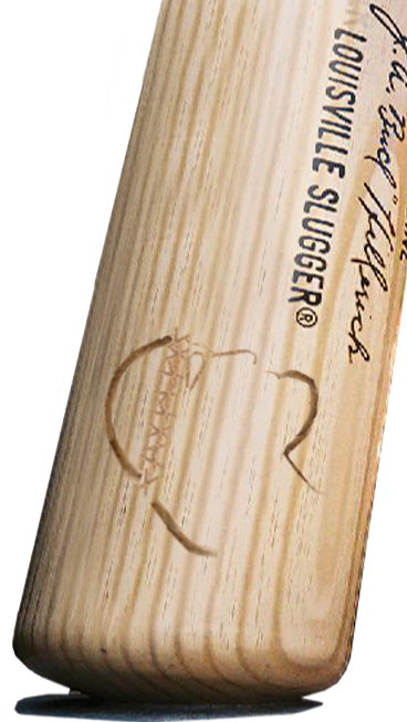 Photoshop Design by duragg for DesignCrowd (Community Contests) | Design #9119768