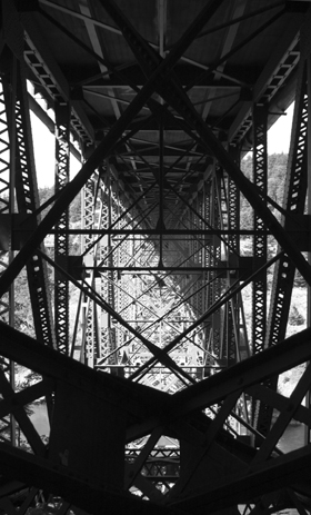 Fotografie von paparouna für DesignCrowd (Community Contests) | Design #9120059