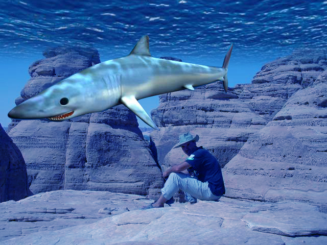 Diseño de Photoshop por zeesamar para DesignCrowd (Community Contests) | Diseño #9125418