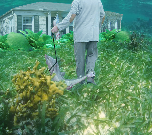 Design Photoshop par duragg pour DesignCrowd (Community Contests) | Design #9125419