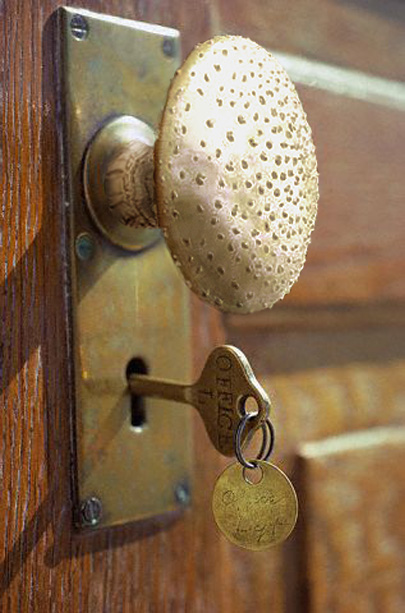 Photoshop Design by Monkeyknife for DesignCrowd (Community Contests) | Design #9119435