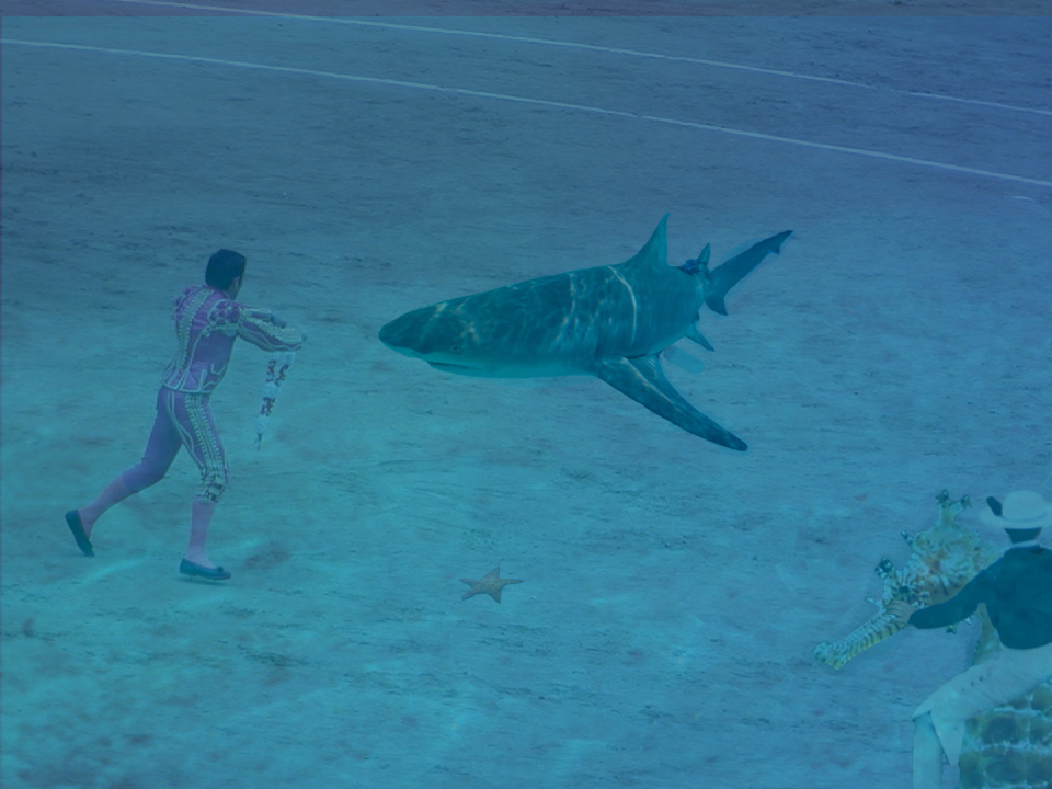 Photoshop Design by amaranto for DesignCrowd (Community Contests) | Design #9125551