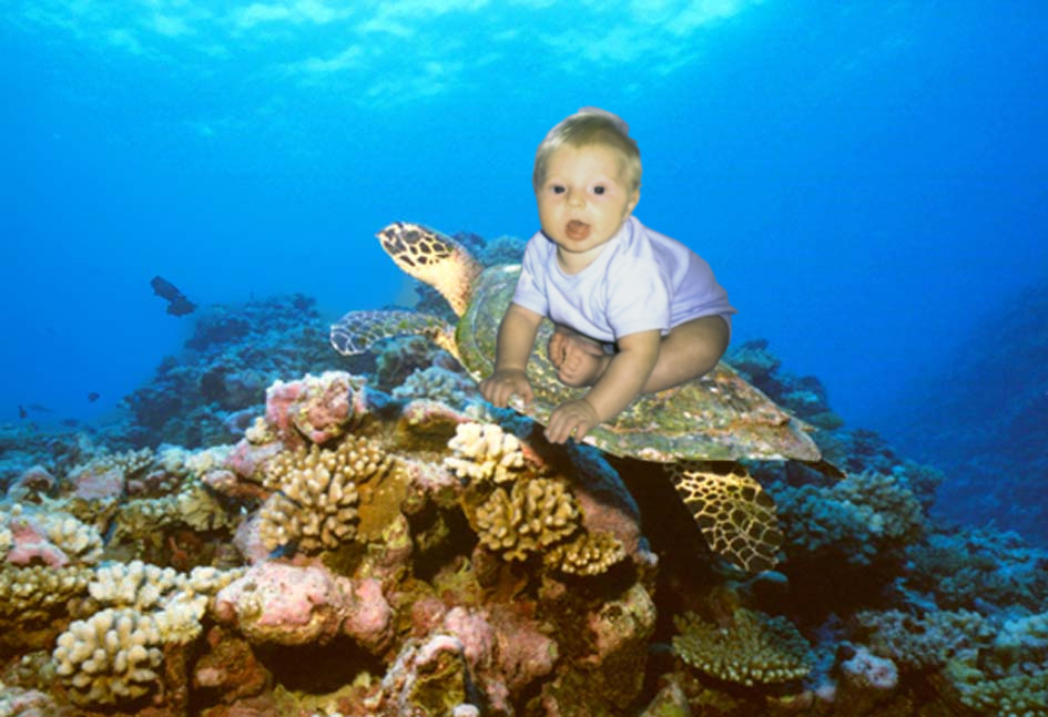 Diseño de Photoshop por julianneovie para DesignCrowd (Community Contests) | Diseño #9125519