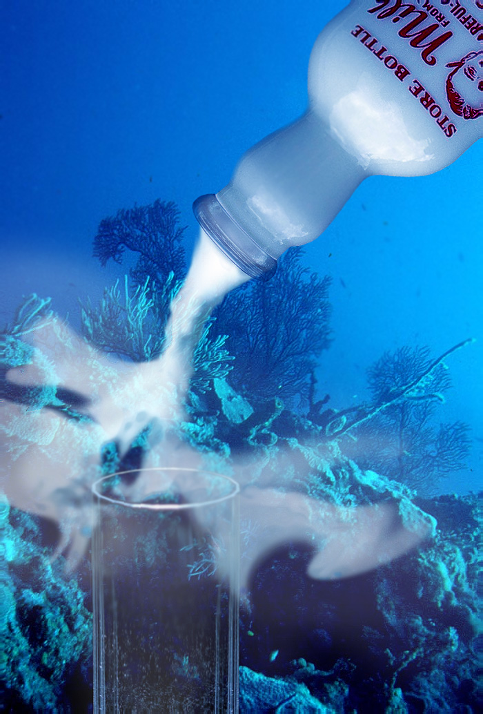 Photoshop Design by axwear for DesignCrowd (Community Contests) | Design #9125514