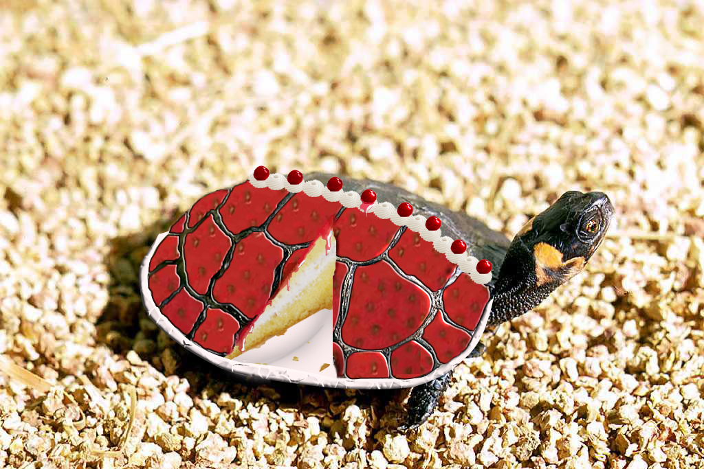 Photoshop-Design von rpereira für DesignCrowd (Community Contests) | Design #9119495