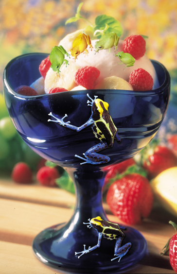 Photoshop Design by Stishh for DesignCrowd (Community Contests) | Design #9119514