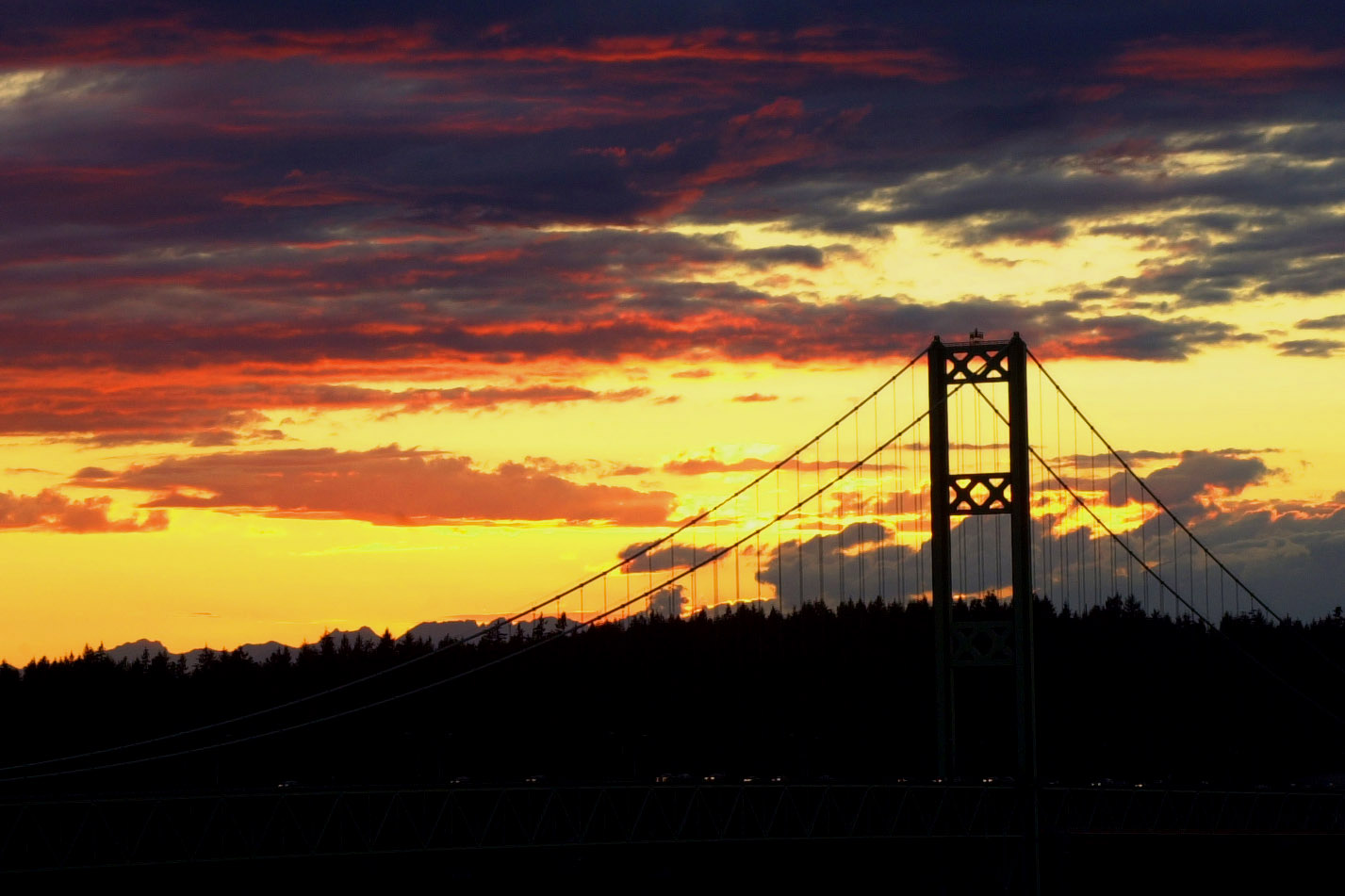 Photography by danceswithcameras for DesignCrowd (Community Contests) | Design #9095885