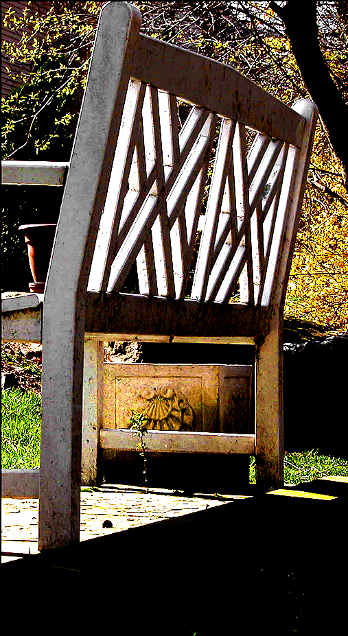 Fotografie von lilmart für DesignCrowd (Community Contests) | Design #9095918