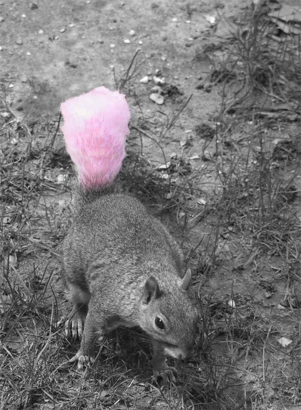 Photoshop Design by kerdevez for DesignCrowd (Community Contests) | Design #9119661