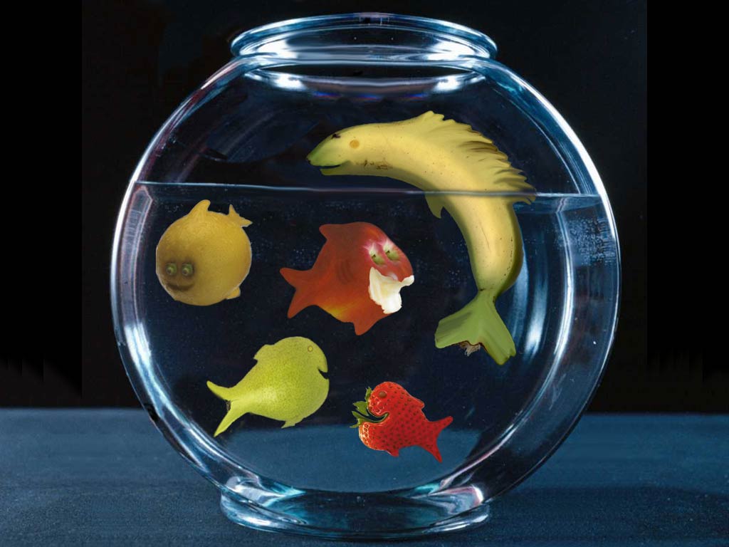 Photoshop-Design von mistafeesh für DesignCrowd (Community Contests) | Design #9119614