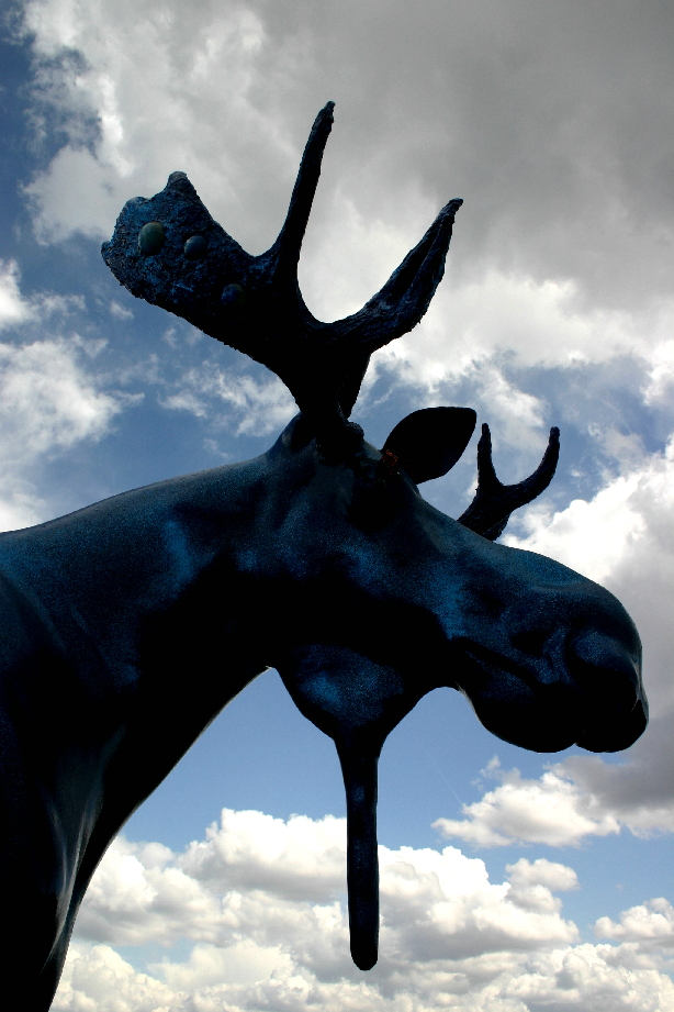 Photography by lothar for DesignCrowd (Community Contests) | Design #9095952