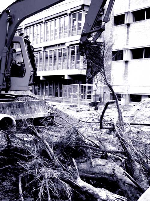 Photography by Phatal for DesignCrowd (Community Contests) | Design #9120082