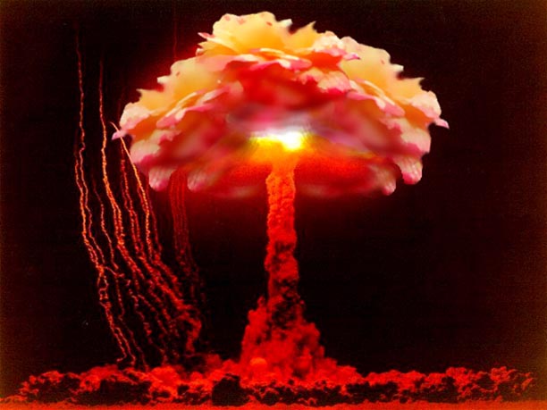 Diseño de Photoshop por Terrence para DesignCrowd (Community Contests) | Diseño #9118636