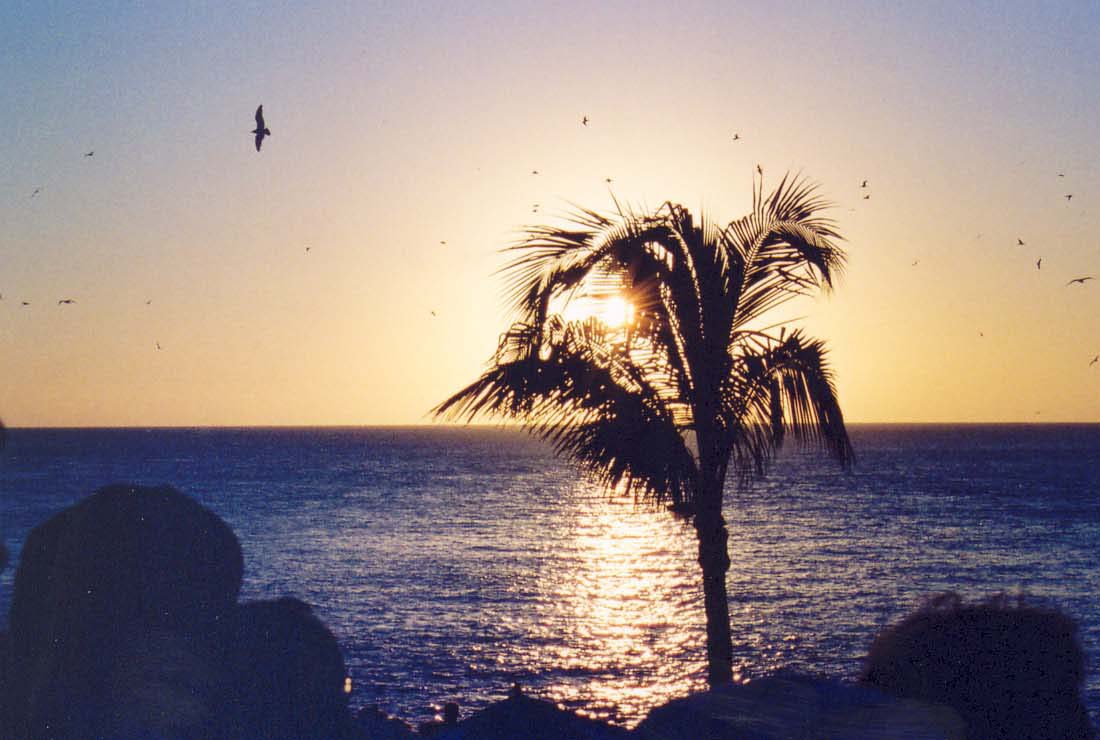 Photography by Strudel for DesignCrowd (Community Contests) | Design #9096043