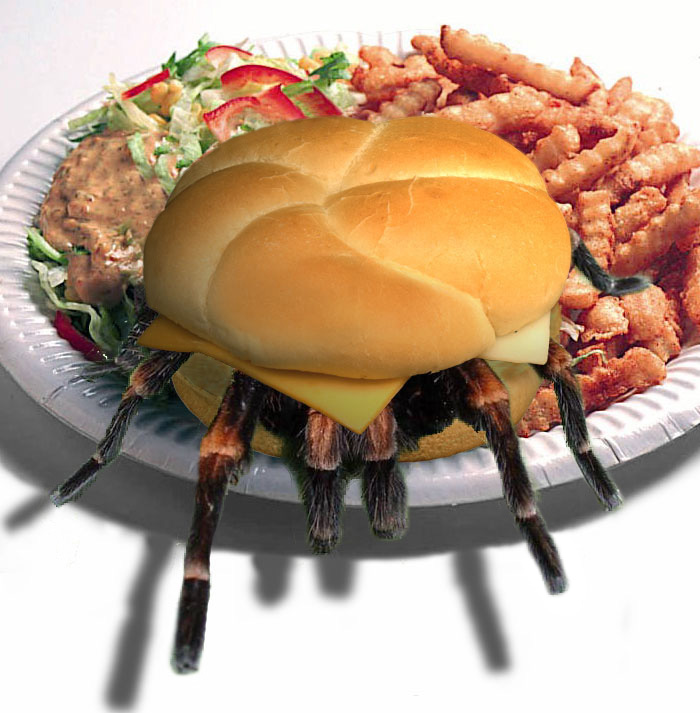 Design Photoshop par godzillatemple pour DesignCrowd (Community Contests) | Design #9094450