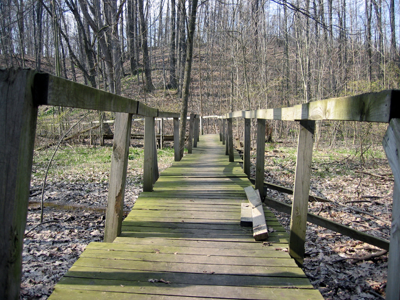 Photography by Sol for DesignCrowd (Community Contests) | Design #9120172