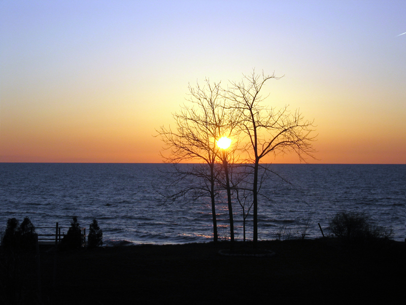 Photography by Sol for DesignCrowd (Community Contests) | Design #9095995