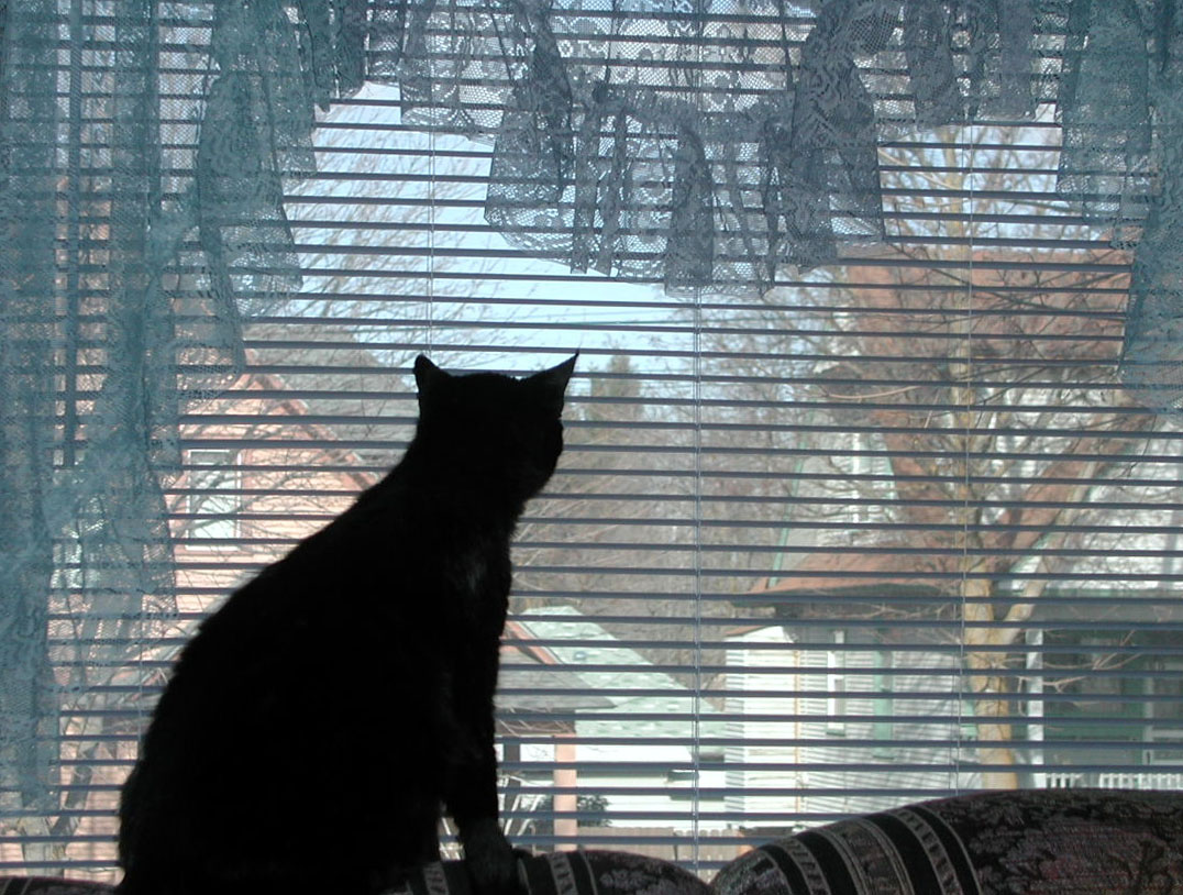 Photography by klxner for DesignCrowd (Community Contests) | Design #9096024