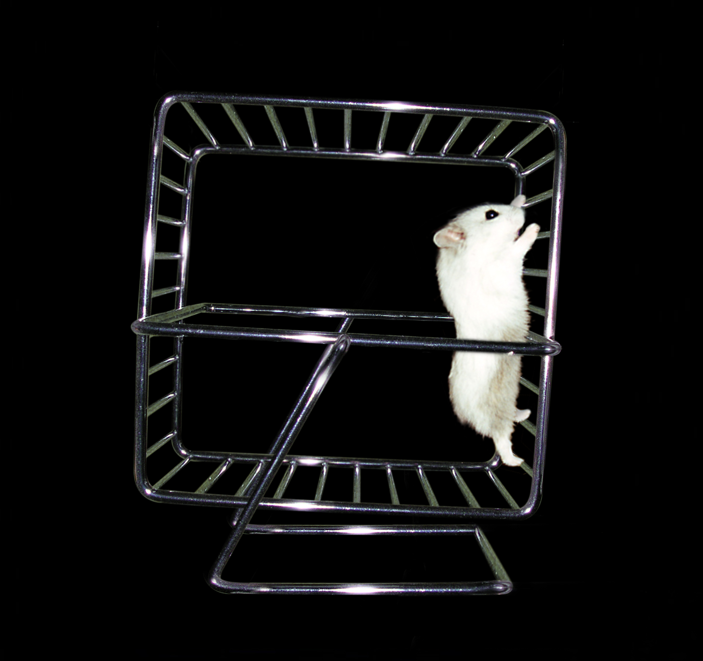 Design Photoshop par quasimai pour DesignCrowd (Community Contests) | Design #9095461