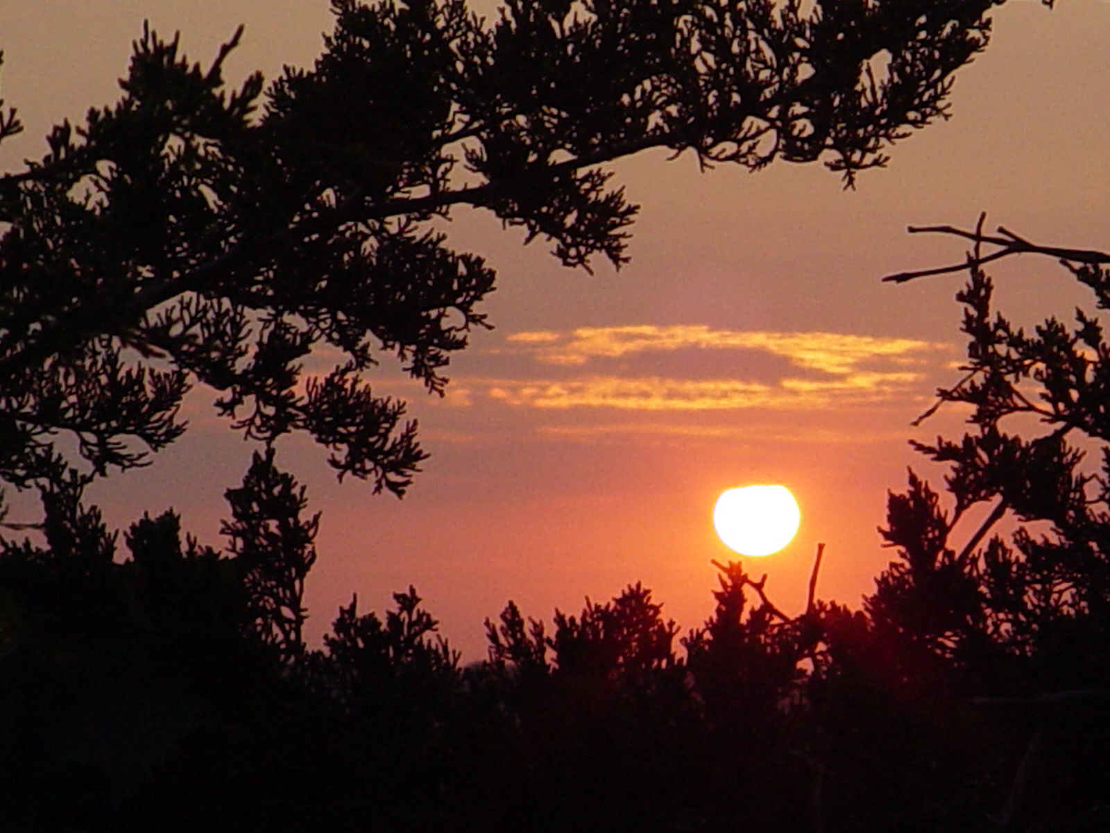 Photography by ottaia for DesignCrowd (Community Contests) | Design #9096037