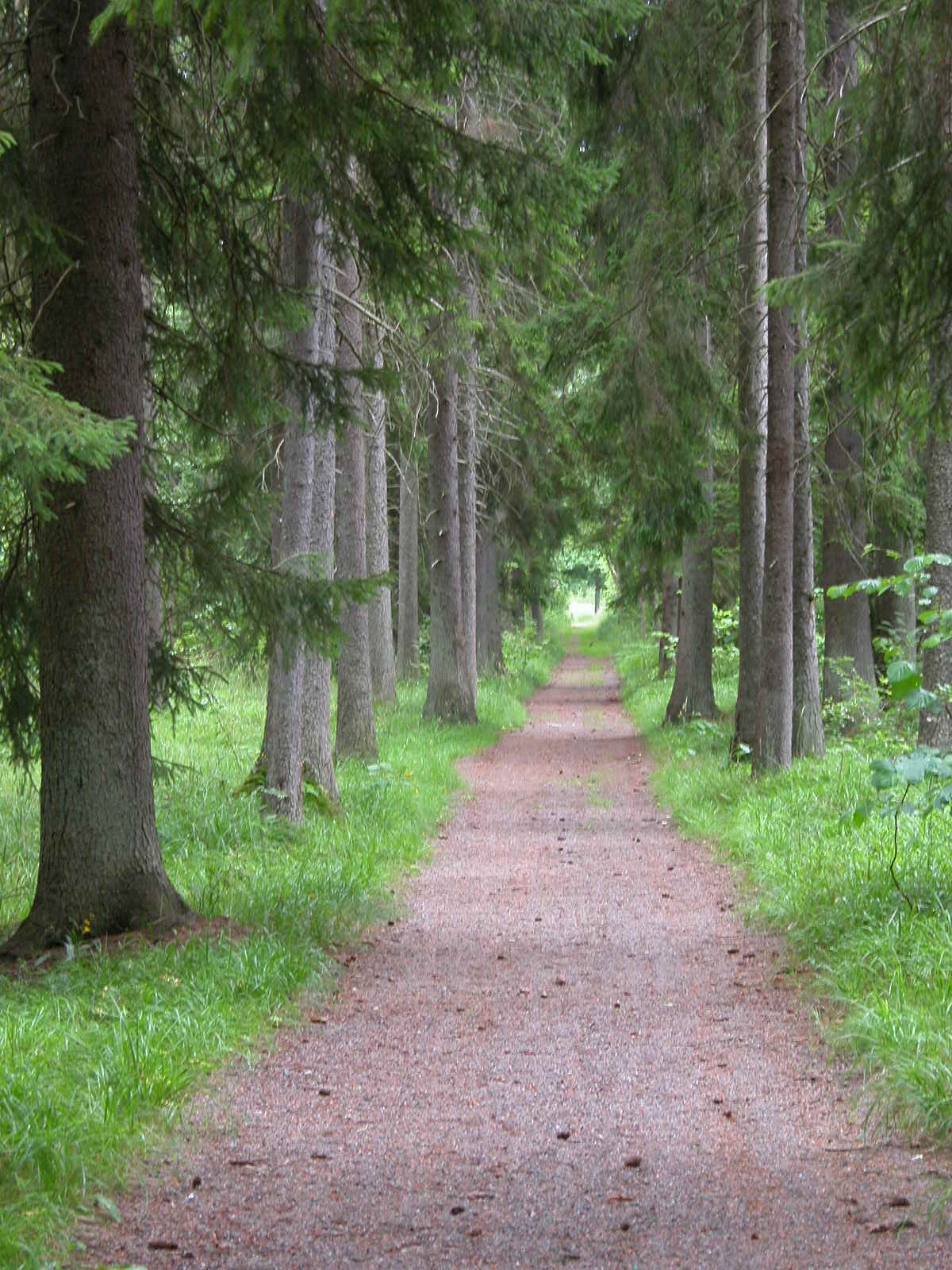 Photography by Ingela for DesignCrowd (Community Contests) | Design #9120198