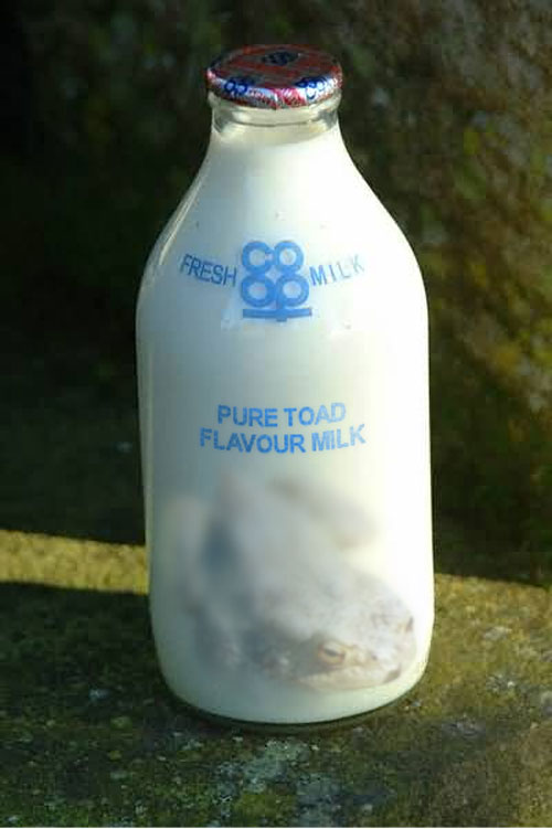 Design Photoshop par uziel3 pour DesignCrowd (Community Contests) | Design #9094371