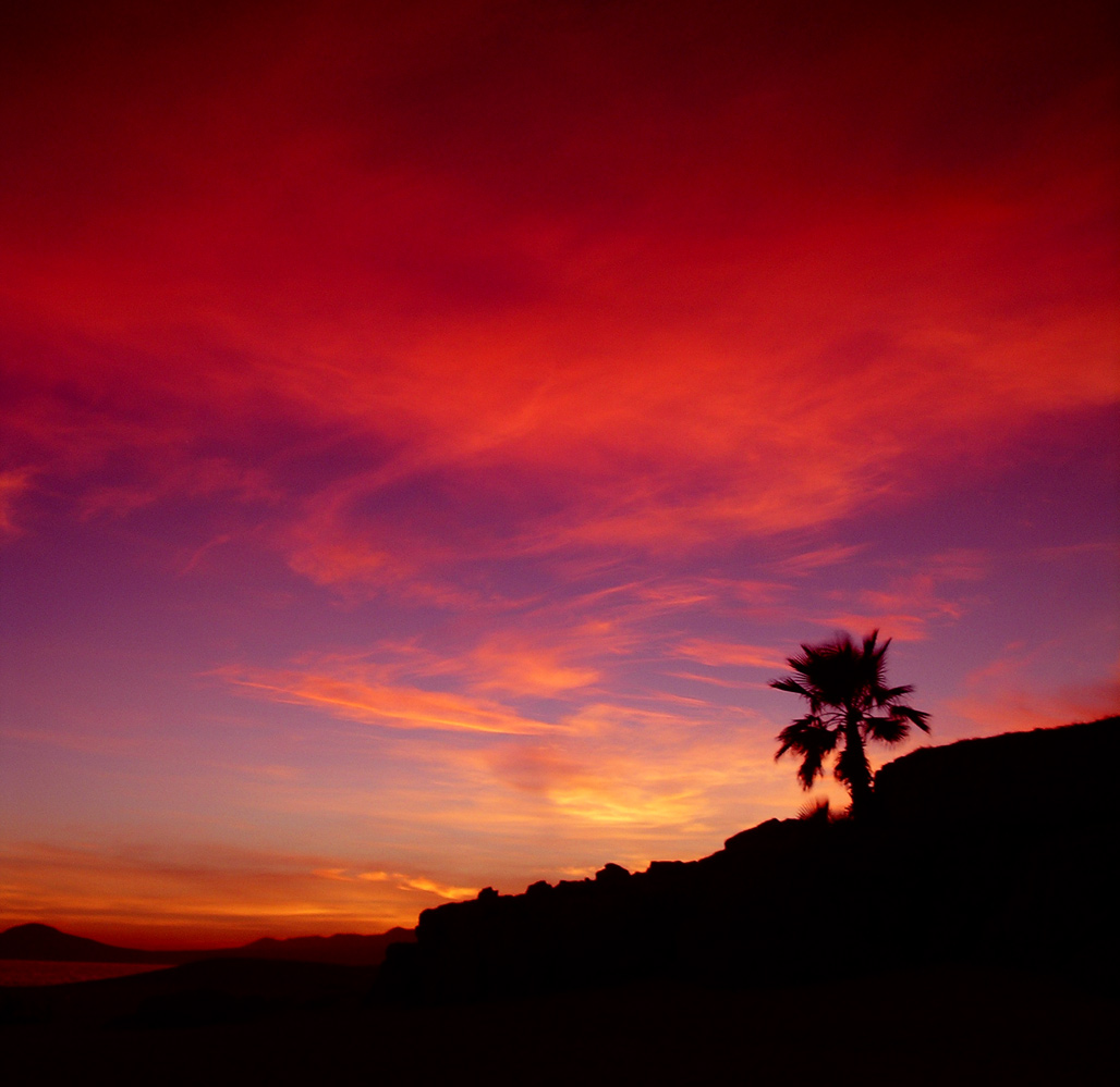 Photography by xakpeet for DesignCrowd (Community Contests) | Design #9096204