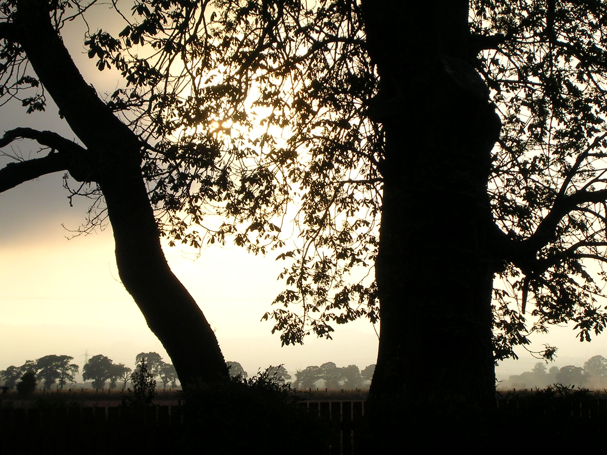 Photography by shadowtwin for DesignCrowd (Community Contests) | Design #9096149