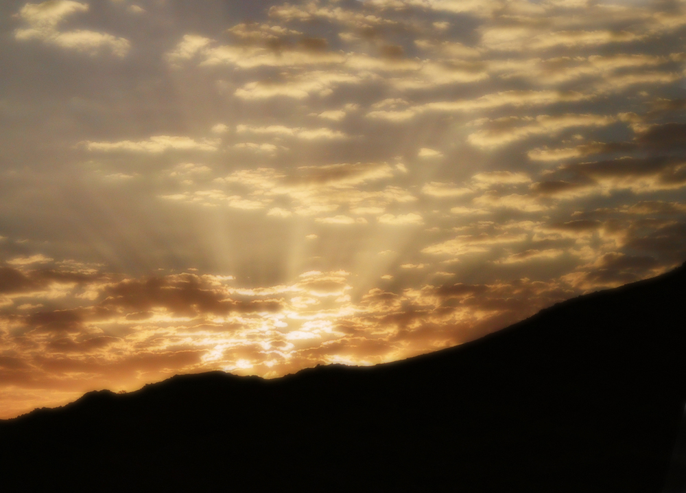 Photography by Adlorking for DesignCrowd (Community Contests) | Design #9096220