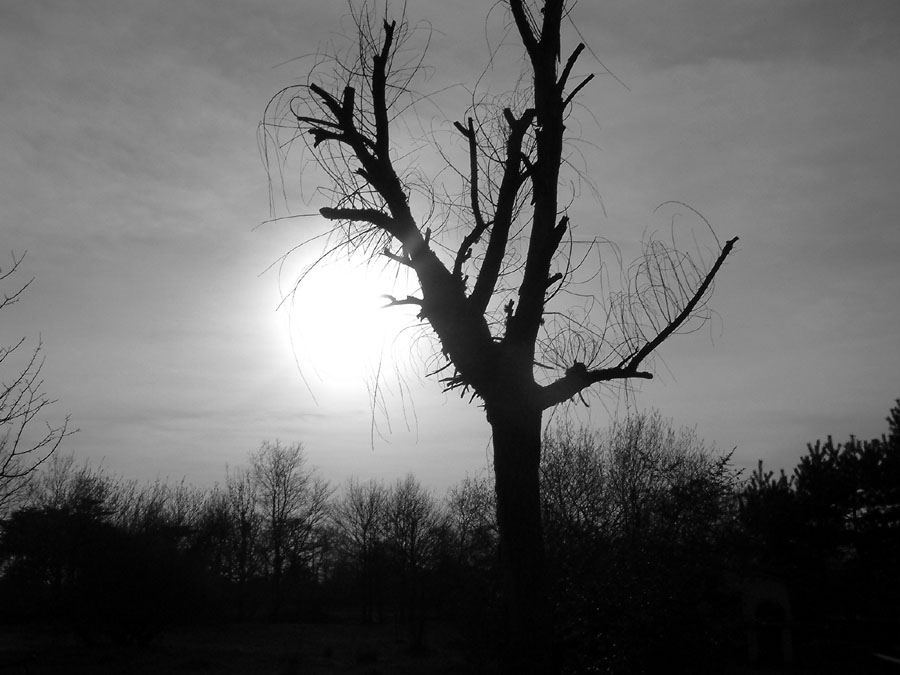 Photography by lafilledenhaut for DesignCrowd (Community Contests) | Design #9096194