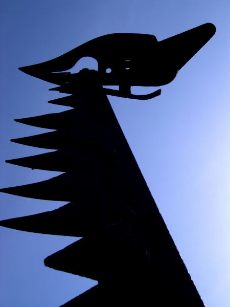 Photography by bluntodoss for DesignCrowd (Community Contests) | Design #9096325