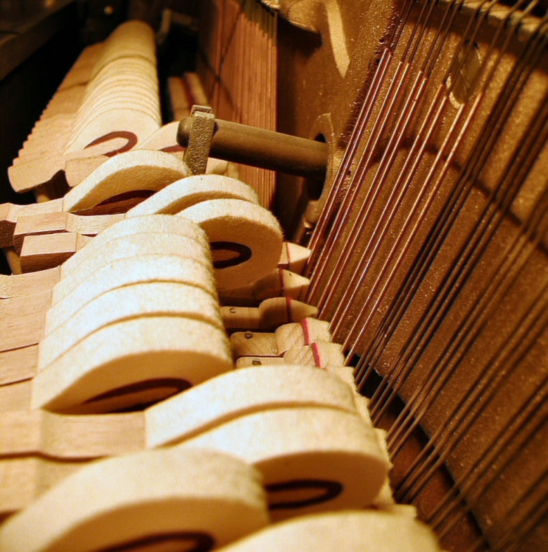 Photography by daisiem for DesignCrowd (Community Contests) | Design #9122725