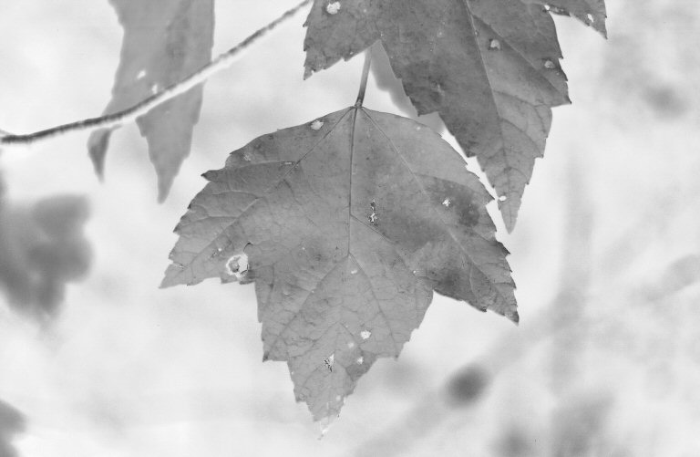 Photography by JayeBe for DesignCrowd (Community Contests) | Design #9116076