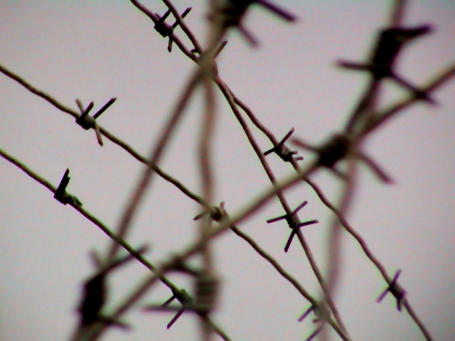 Photography by Rausto_BANNED for DesignCrowd (Community Contests) | Design #9101092