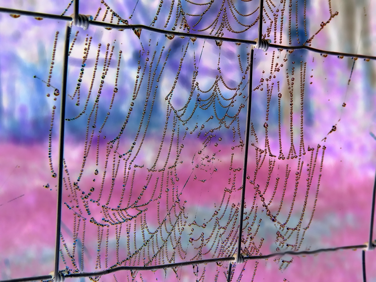 Fotografía por scagle para DesignCrowd (Community Contests) | Diseño #9116091