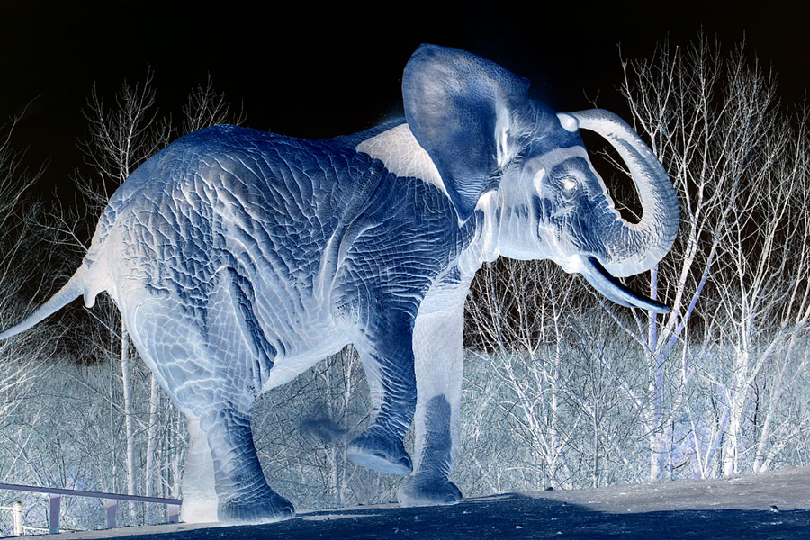 Fotografie von SigloV für DesignCrowd (Community Contests) | Design #9116115