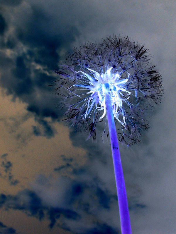 Fotografie von Phantazmo für DesignCrowd (Community Contests) | Design #9116118