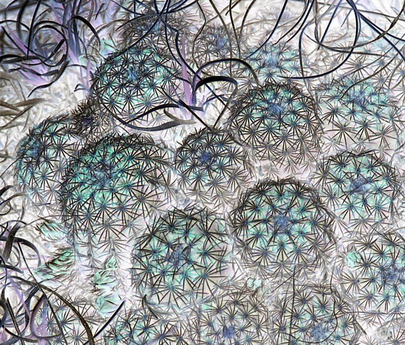 Fotografía por londubh para DesignCrowd (Community Contests) | Diseño #9116129