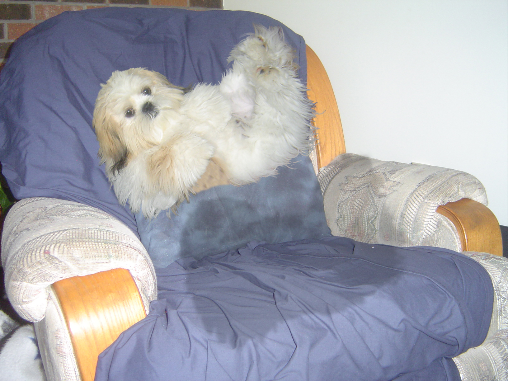 Diseño de Photoshop por Groggie para DesignCrowd (Community Contests) | Diseño #9105761