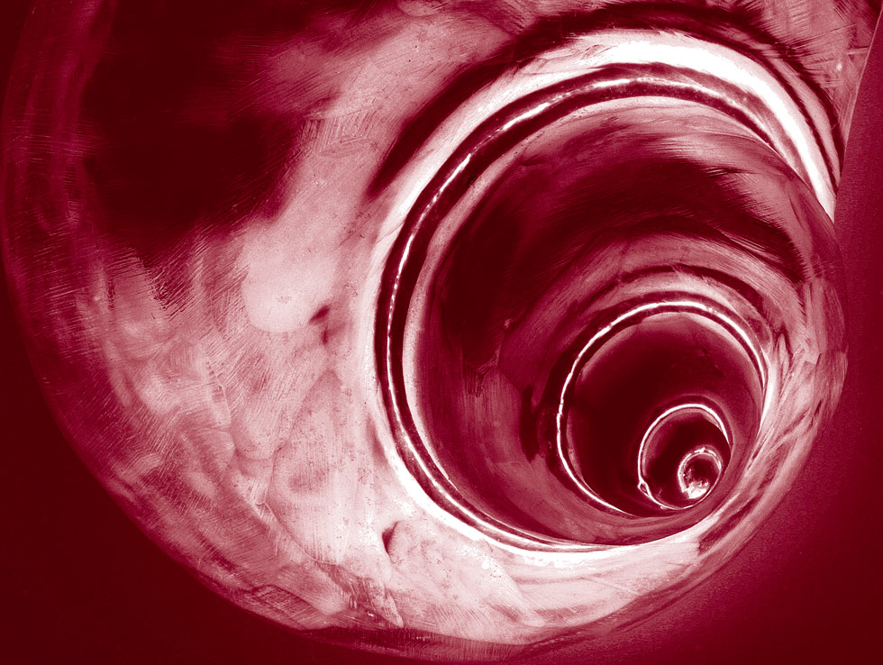 Photography by rhipster for DesignCrowd (Community Contests) | Design #9116236