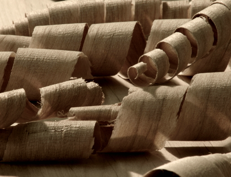 Photography by lothar for DesignCrowd (Community Contests) | Design #9101140