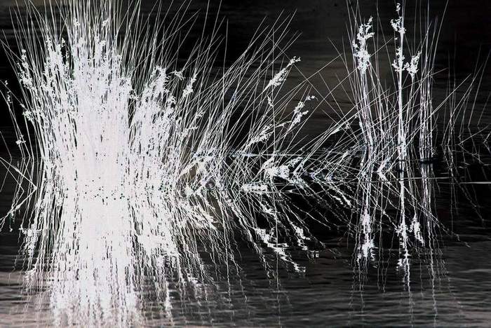 Photography by Seadiver for DesignCrowd (Community Contests) | Design #9116222