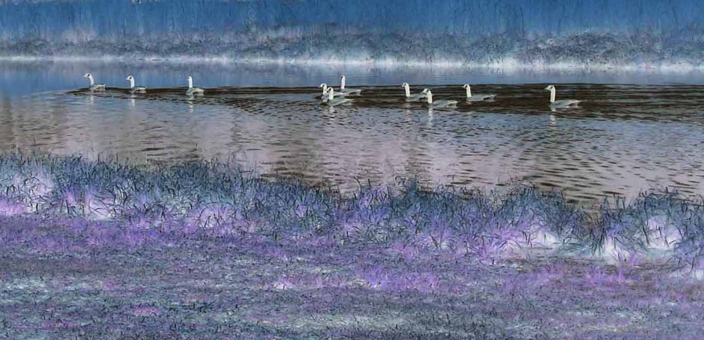 Photography by Caligreal for DesignCrowd (Community Contests) | Design #9116208