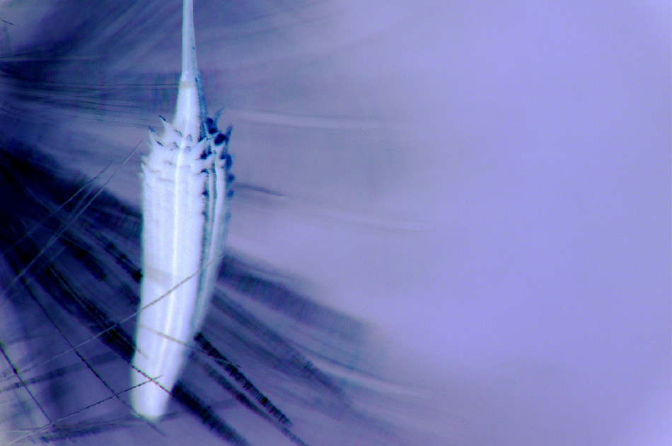 Photography by KChris for DesignCrowd (Community Contests) | Design #9116178