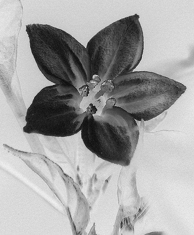 Fotografía por SQLVoodoo para DesignCrowd (Community Contests) | Diseño #9116201