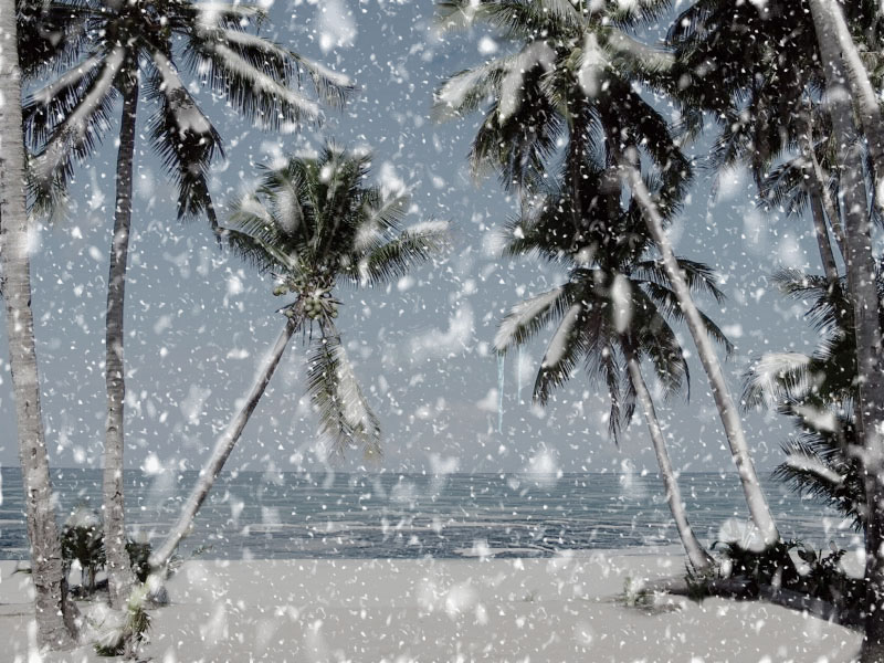 Photoshop-Design von godzillatemple für DesignCrowd (Community Contests) | Design #9122491