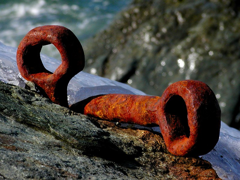 Photographie par KarenC pour DesignCrowd (Community Contests) | Design #9117884