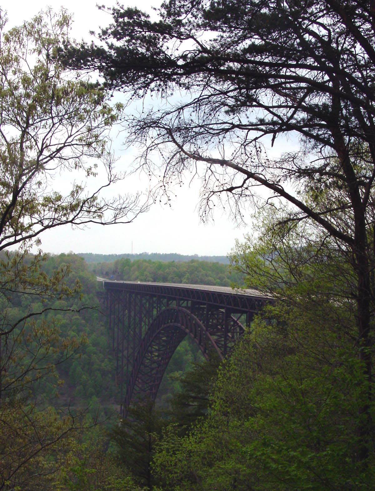 Fotografie von Angeldog1 für DesignCrowd (Community Contests) | Design #9101228